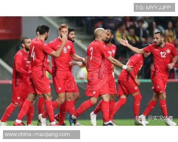 加纳与突尼斯精彩对决视频集锦回顾全场进球与精彩瞬间