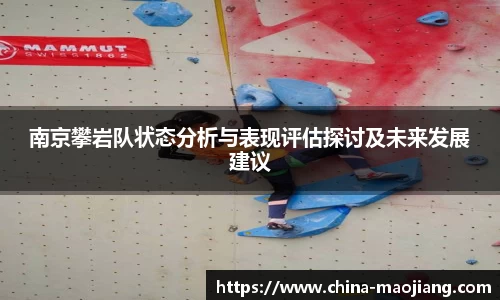 南京攀岩队状态分析与表现评估探讨及未来发展建议