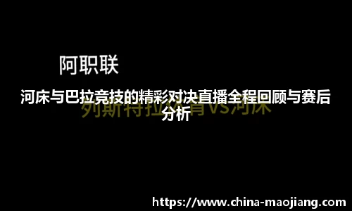 今年会平台入口