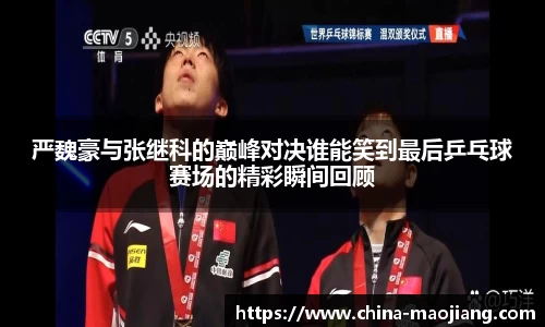 今年会平台入口