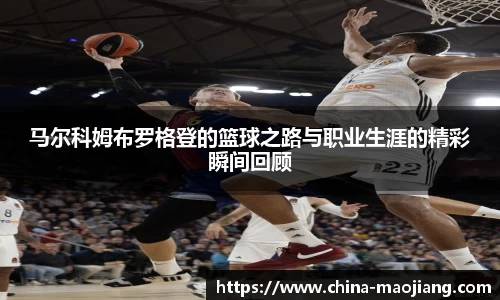 今年会|官方网站