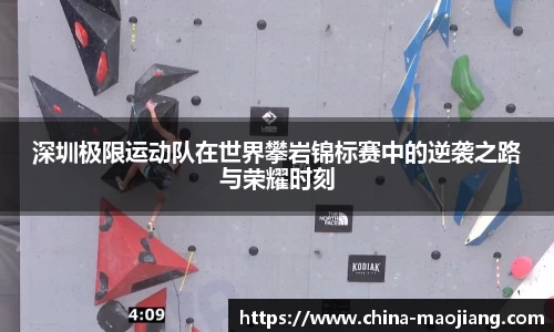 今年会平台入口